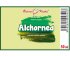 Alchornea - bylinné kapky (tinktura) 50 ml - doplněk stravy