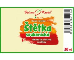 Obrázek_(1) Obrázek_(1)