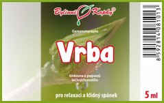 Obrázek