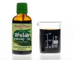 Obrázek_(1) Obrázek_(1)
